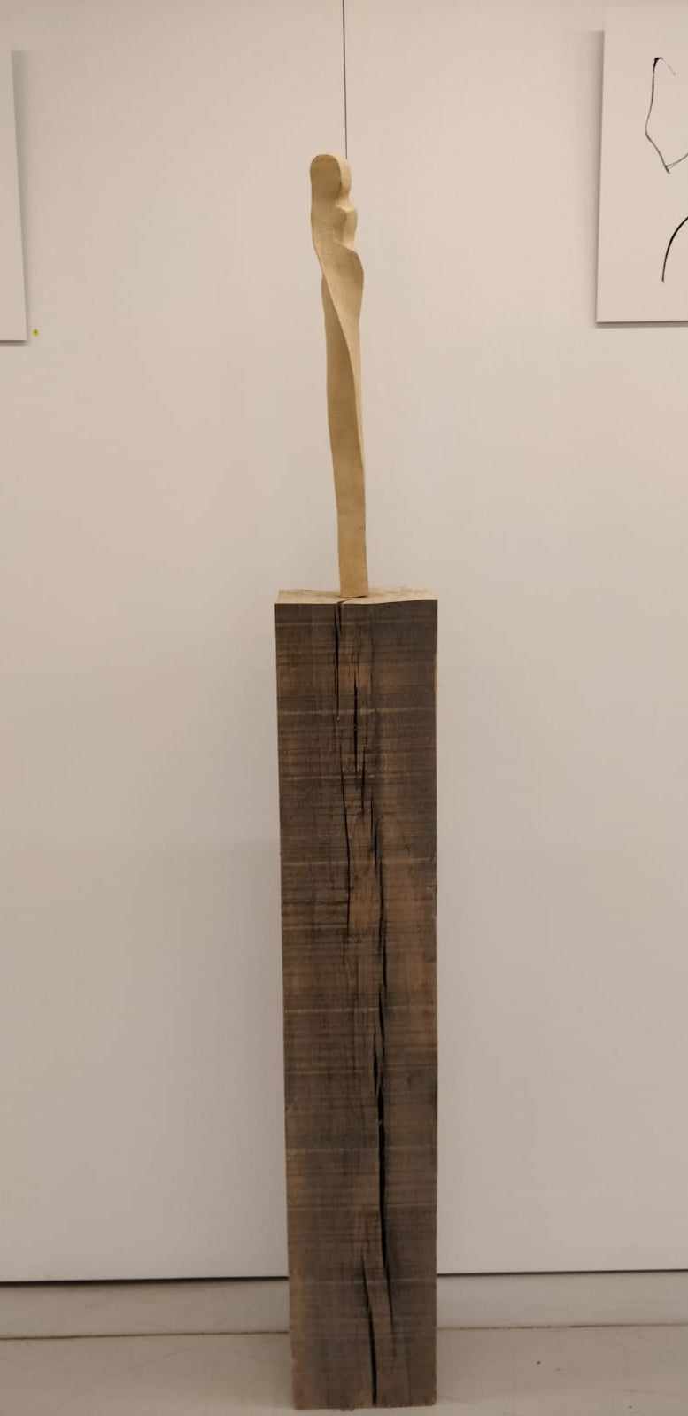 T22